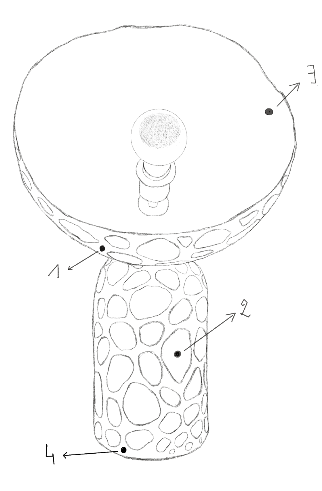 croquis jungle léopard